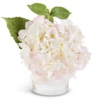 Product image - Pink Real Touch Hydrangea in Glass Vase