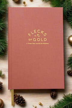 Flecks of Gold 3-Year Journal: Terracotta Linen