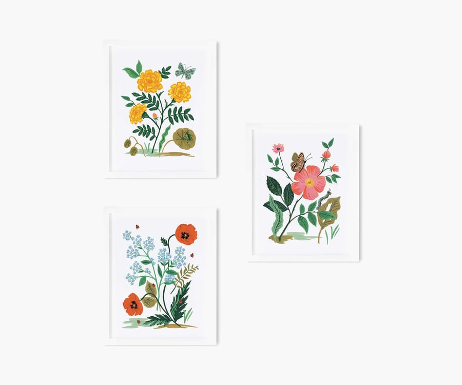 Product image - Sold out